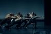 BALLETS JAZZ MONTREAL